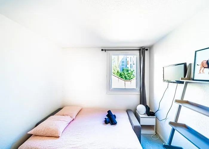 Apartamento Ideal For Professionals Or Students Vaise